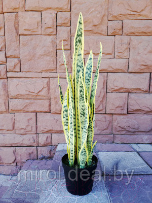 Искусственное растение ForGarden Сансевиерия / BN10686 - фото 2 - id-p226813154