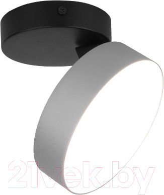 Потолочный светильник Elektrostandard Pila 12W 4200К / 25135/LED - фото 1 - id-p226818381