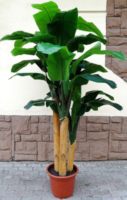 Искусственное растение ForGarden Дерево Banana Tree 210cm / FGN BF01710 - фото 1 - id-p226817644