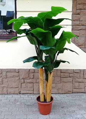 Искусственное растение ForGarden Дерево Banana Tree 210cm / FGN BF01710 - фото 2 - id-p226817644