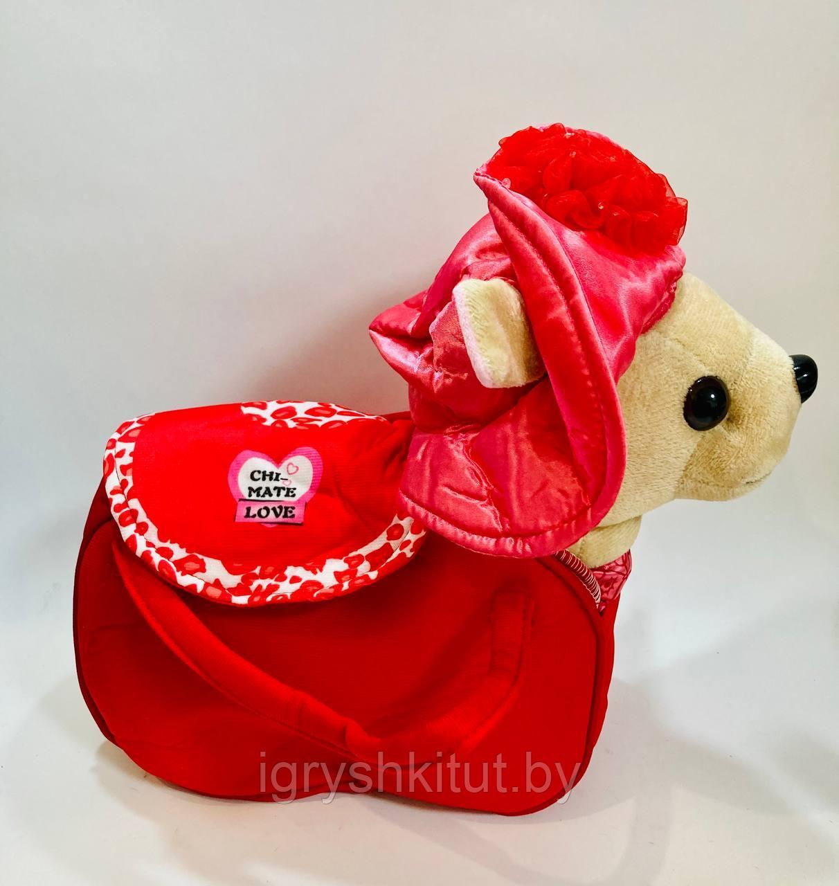 Игрушка Музыкальная собачка ЧИЧИ-ЛАВ (CHI-CHI LOVE) с сумочкой переноской - фото 4 - id-p226820286
