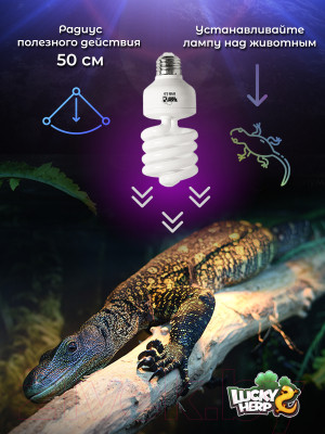 Лампа для террариума Lucky Herp Reptile UVB Compact Fluorescent Lamp 26W UVB 10.0 / 006 - фото 8 - id-p226822056