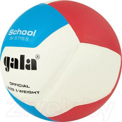 Мяч волейбольный Gala Sport School 12 / BV5715S - фото 3 - id-p226825633