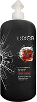 Шампунь для волос Luxor Professional Детокс С Черным углем и маслом Чиа