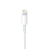 Кабель Apple Lightning - USB 1м (MQUE2ZM/A), фото 2