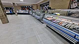 Низкотемпературная витрина Вилия 150 ВН, не выше -18 °С (1620х1120х1260 мм), фото 3