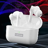 Наушники Lenovo LP70 Live Pods Белые, фото 2
