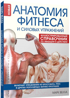 Книга Попурри Анатомия фитнеса и силовых упражнений - фото 1 - id-p226834615