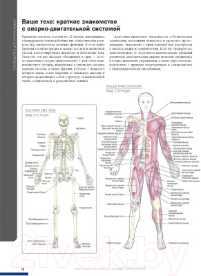 Книга Попурри Анатомия фитнеса и силовых упражнений - фото 6 - id-p226834615