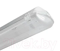 Светильник линейный ЗСП Polar LED Т8-236-21