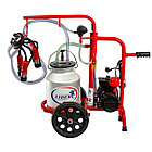 Доильный аппарат LIDER Люкс с детектором мастита, фото 2