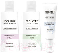 Набор косметики для лица Ecolatier Soft Skin Гель для умывания+Тоник+Крем для лица