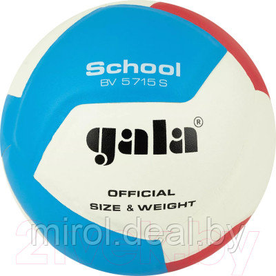 Мяч волейбольный Gala Sport School 12 / BV5715S - фото 1 - id-p226842476