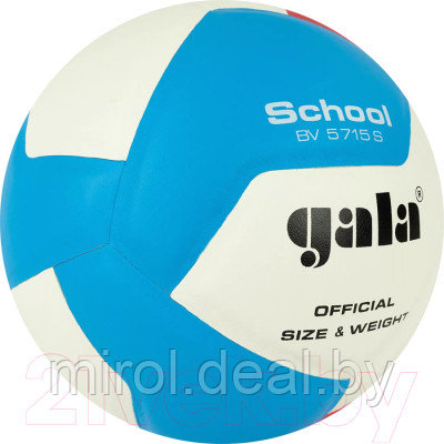 Мяч волейбольный Gala Sport School 12 / BV5715S - фото 2 - id-p226842476