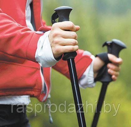Палки телескопические для скандинавской (спортивной) ходьбы NAMKABAW - фото 2 - id-p97507931