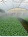 Капельный полив для теплиц сада огорода газона дачи Автополив дождеватель Система автоматического полива Туман, фото 8