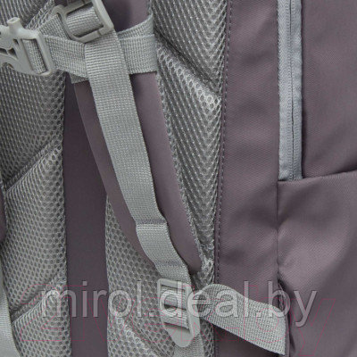 Школьный рюкзак Grizzly RG-267-2 - фото 8 - id-p226857605