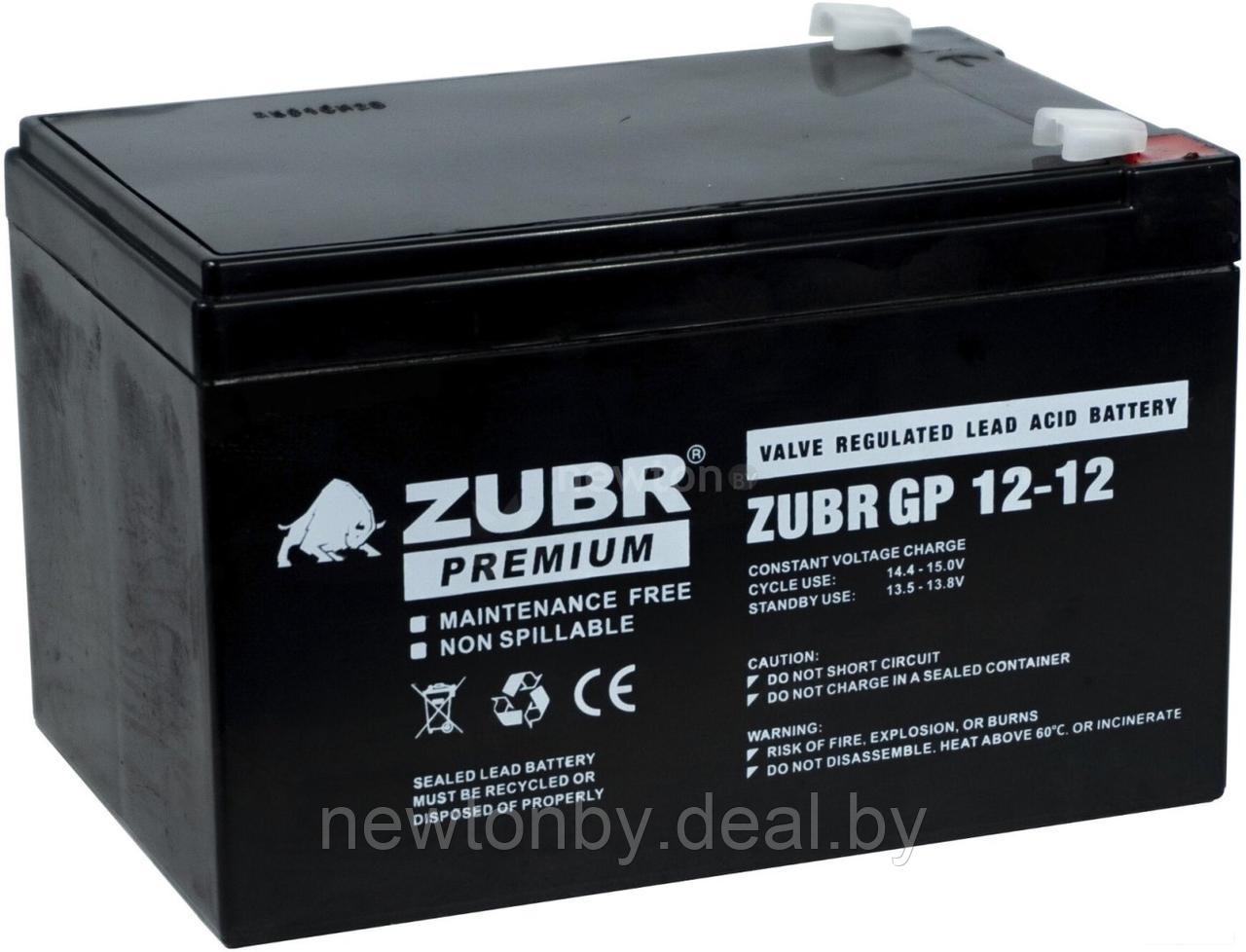 Автомобильный аккумулятор Zubr GP 12-12 (12 А·ч) - фото 1 - id-p226861446