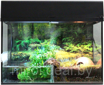 Террариум Lucky Reptile Стартовый комплект для амфибий / SK80BP-W - фото 1 - id-p226877960