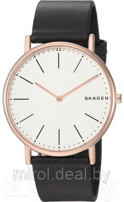 Часы наручные мужские Skagen SKW6430 - фото 1 - id-p226879795