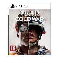 Игра Sony Call of Duty Black Ops Cold War для PS5