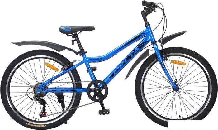 Велосипед Delta Street 24 2401 (синий) - фото 1 - id-p226806528