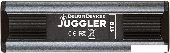 Внешний накопитель Delkin Devices DJUGBM1TB 1TB, фото 2