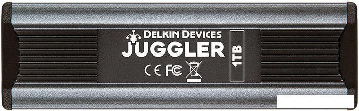 Внешний накопитель Delkin Devices DJUGBM1TB 1TB - фото 1 - id-p226705739