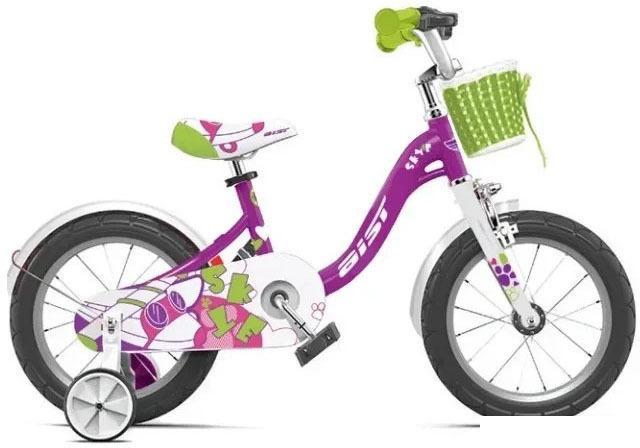 Детский велосипед AIST Skye 16 2022 (фиолетовый) - фото 1 - id-p226580292