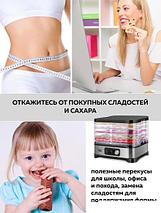 Сушилка для овощей и фруктов GFgril GFD-001, фото 3