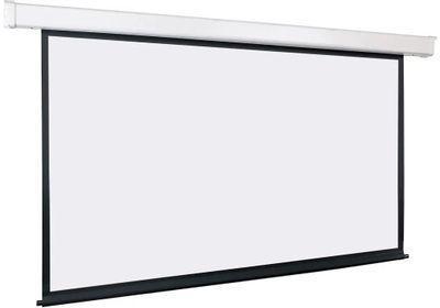 Экран Lumien Eco Control LEC-100112, 300х198 см, 16:9, настенно-потолочный белый