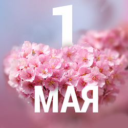 Поздравляем Вас с 1 мая 2024 года: МИР, ТРУД. МАЙ!