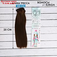 Волосы - тресс для кукол "Прямые" длина волос: 25 см, ширина:100 см, цвет № 8В
