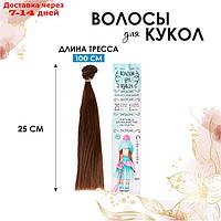 Волосы - тресс для кукол "Прямые" длина волос: 25 см, ширина:100 см, цвет № 6