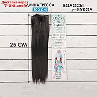 Волосы - тресс для кукол "Прямые" длина волос: 25 см, ширина: 100 см, цвет № 2В