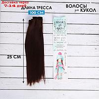 Волосы - тресс для кукол "Прямые" длина волос: 25 см, ширина:100 см, цвет № 6А