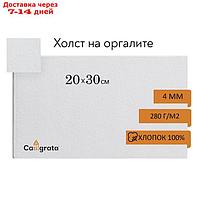 Холст на оргалите 4 мм, 20 х 30 см, хлопок 100%, акриловый грунт