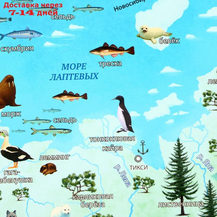 Интерактивная карта России для детей "Карта Нашей Родины", 101 х 69 см, ламинированная - фото 3 - id-p226911574