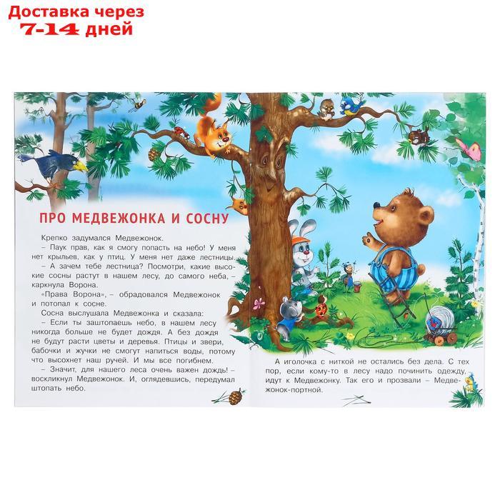 "Добрые книжки для детей. Медвежонок и другие жители леса" - фото 3 - id-p226905158