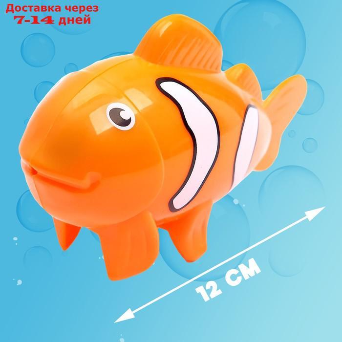 Водоплавающая игрушка "Рыбка клоун", заводная - фото 2 - id-p226906636
