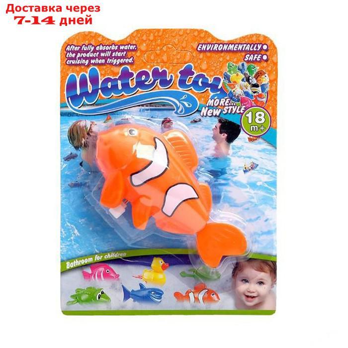 Водоплавающая игрушка "Рыбка клоун", заводная - фото 5 - id-p226906636