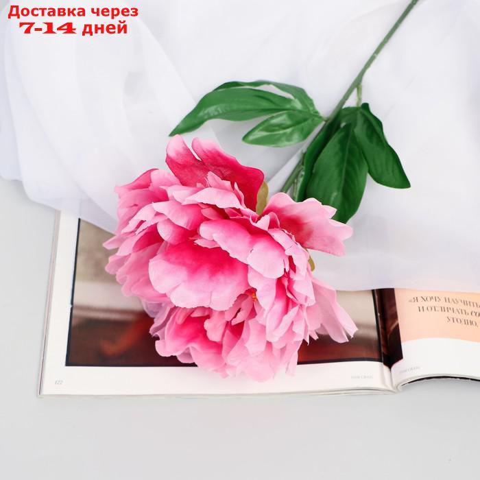 Цветы искусственные "Пион бархатный" 15*55 см, розовый - фото 1 - id-p226908725