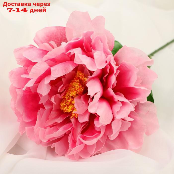 Цветы искусственные "Пион бархатный" 15*55 см, розовый - фото 2 - id-p226908725