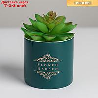 Керамическое кашпо с тиснением "Цветочный сад", 8 х 7,5 см
