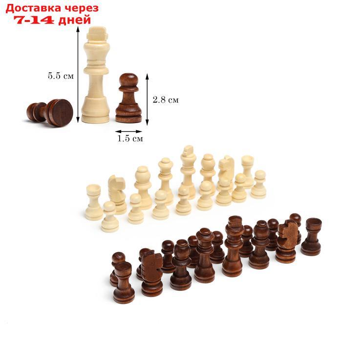 Шахматные фигуры, дерево, высота короля 5.5 см, в пакете микс - фото 1 - id-p226895403