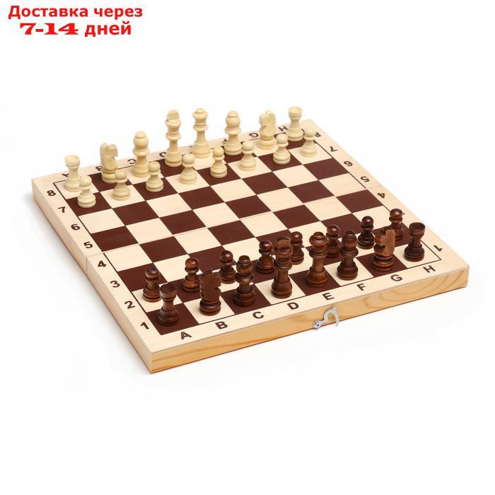 Шахматные фигуры, дерево, высота короля 5.5 см, в пакете микс - фото 3 - id-p226895403