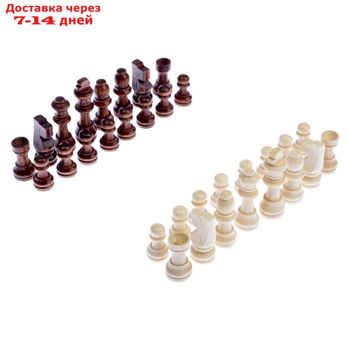 Шахматные фигуры, дерево, высота короля 5.5 см, в пакете микс - фото 5 - id-p226895403
