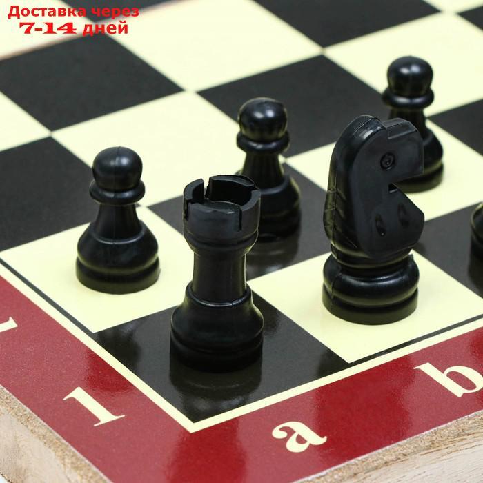 Шахматы, дерево, игровое поле 29x29 см - фото 2 - id-p226895453