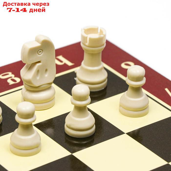 Шахматы, дерево, игровое поле 29x29 см - фото 3 - id-p226895453