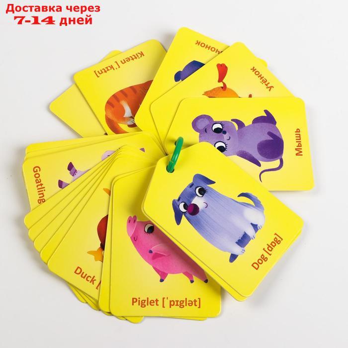 Карточки на кольце для изучения английского языка "Мамы и детёныши", 3+ - фото 2 - id-p226906082